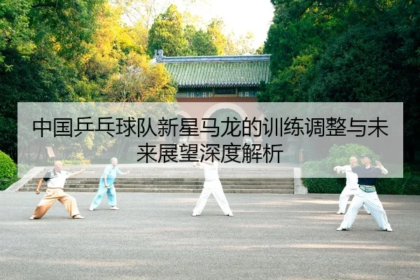 中国乒乓球队新星马龙的训练调整与未来展望深度解析